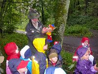 (166 von 243) : KIGA Hausen Waldwoche